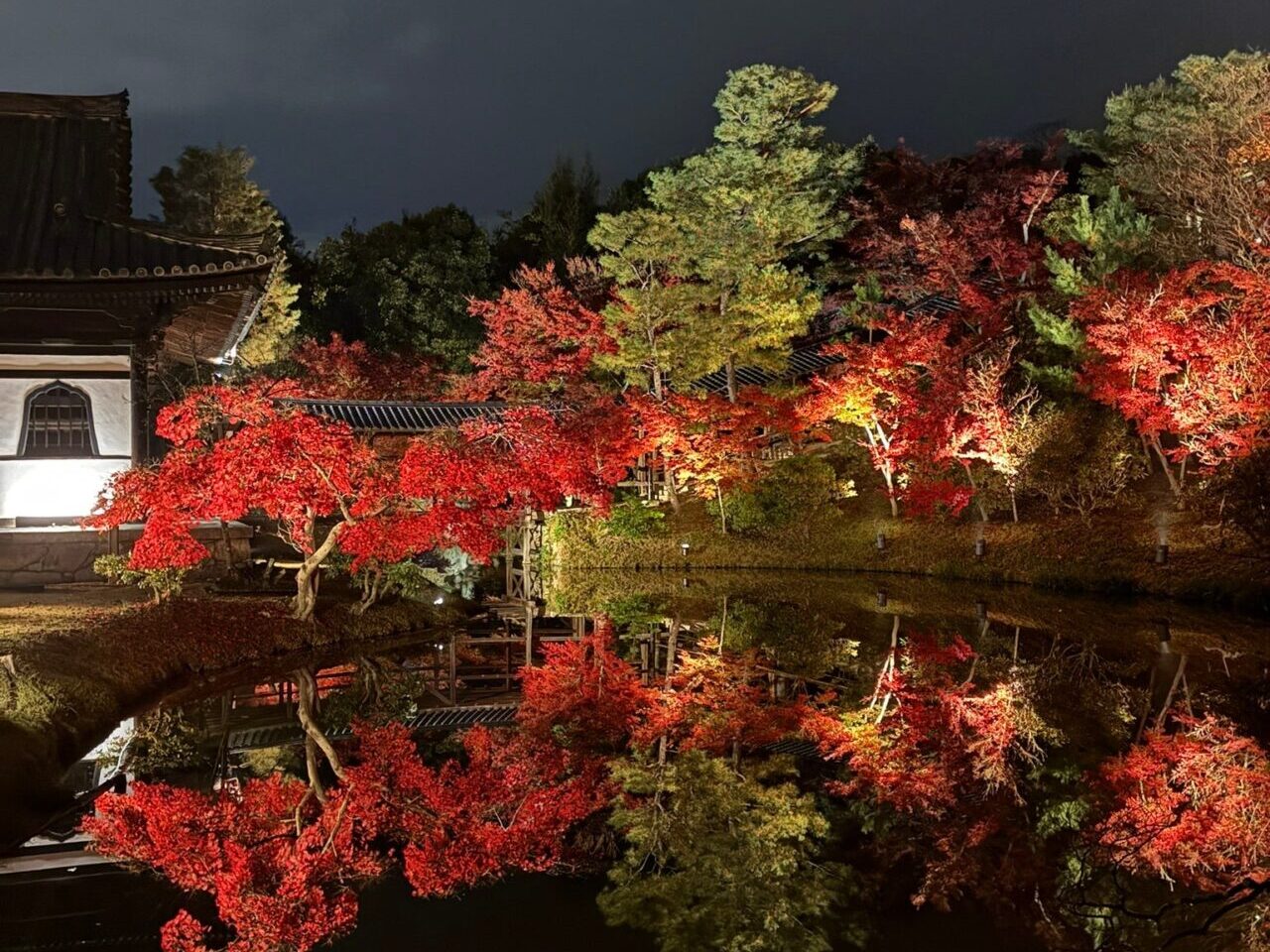 ライトアップされた高台寺の庭園と紅葉