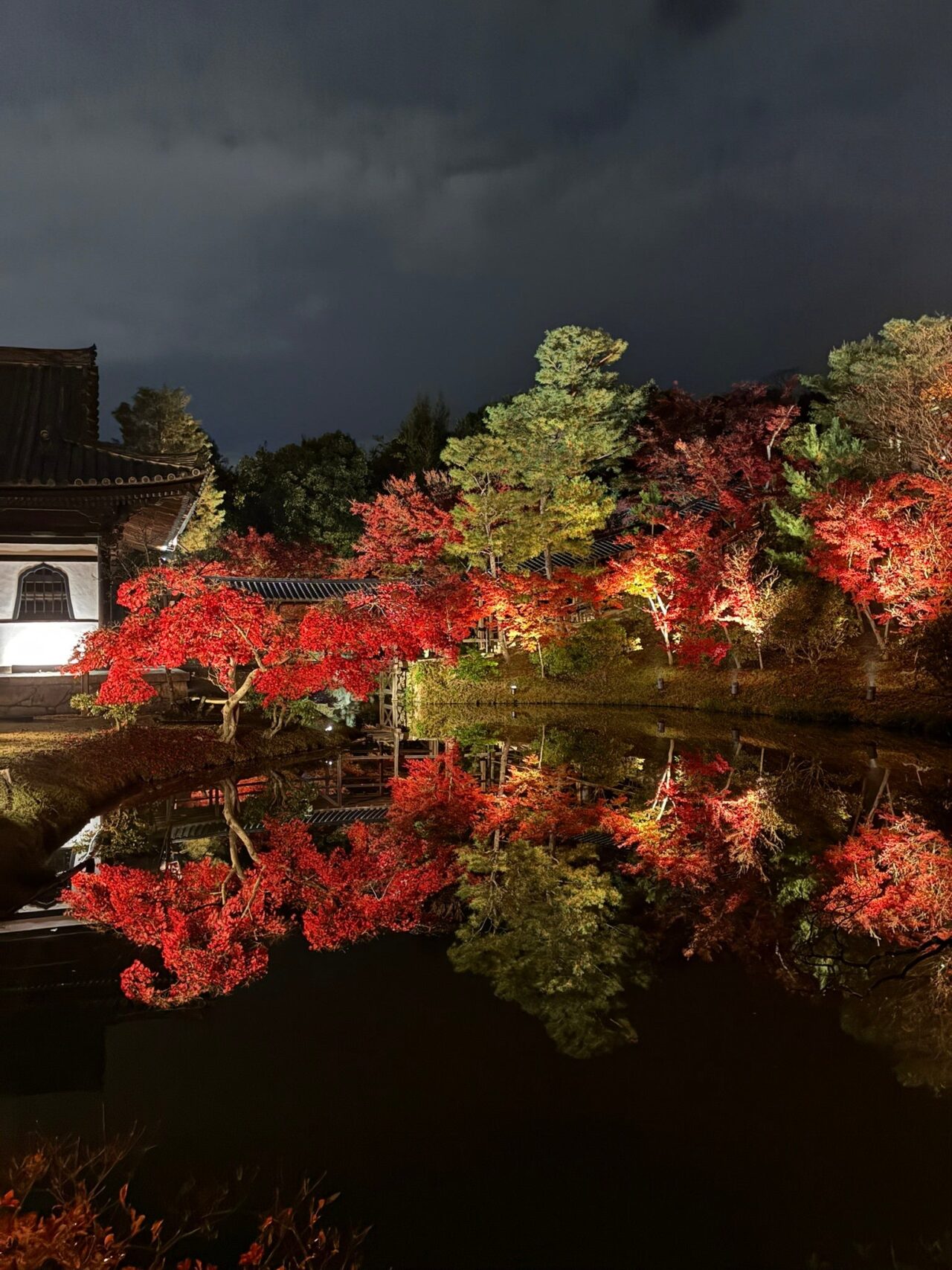 ライトアップされた高台寺の庭園と紅葉